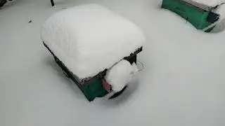 Пасека в снегу