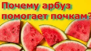 Почему арбуз помогает почкам?