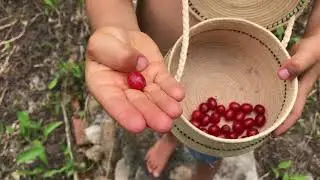 WHAT IS THE EASIEST FRUIT TO GROW? #ediblegarden #gardening