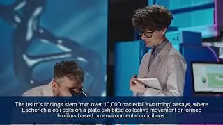 Bacteria Memory Discovered, Passed on for Generations