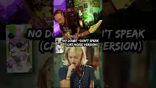 No Doubt - Don’t Speak (w/Meowdulator cat noise pedal)