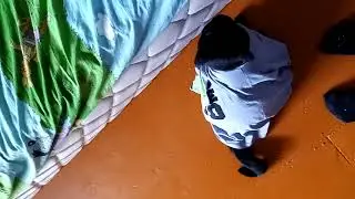 Я надел кошку