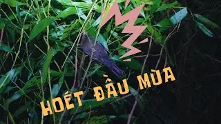 Slingshot hunting birds at night...Catapult Vietnam