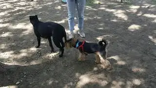к моей девочке пристают)))
