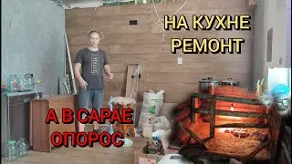 Ремонт на кухне и опорос в сарае