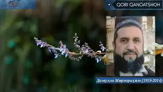 МО БО КИ НИШИНЕМ,КИ ЁРОН ҲАМА РАФТАНД