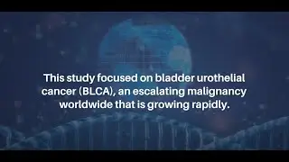 Bladder Cancer Prognostic Model: Oxidative Stress Signatures | Aging-US