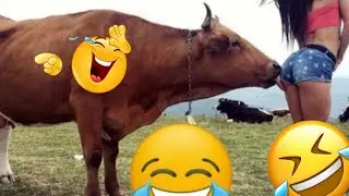 Funny People Doing Stupid Things / Funny Videos Compilation