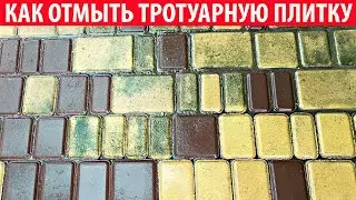 Как легко отмыть тротуарную плитку? Очистка тротуарной плитки своими руками.