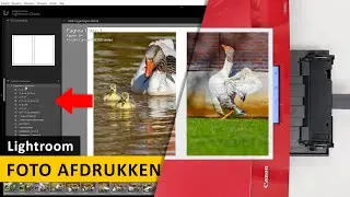 Lightroom Classic | Foto afdrukken en print-instellingen (Dutch)