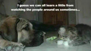 A Little Doggy's Christmas