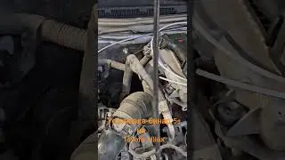 18 января 2024 г.