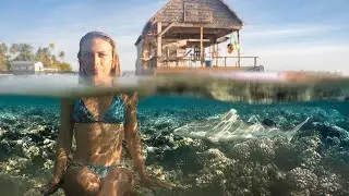 The END of SAILING + DIVING as We Know It
