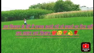 #video | हल चलाए तुने ओय तुने फसल उगाई#ओए कि करी जाना है ओए क्यू मेरी जाना है देश भक्ति song|🇮🇳
