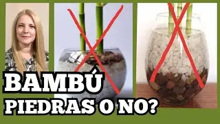 The Bambu goes with stones or without stones?