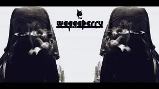 BÖ -  Waqqaberry - New Music - 2017-