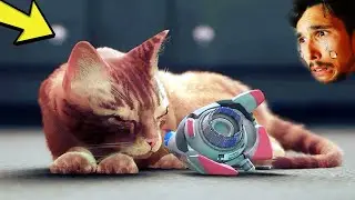 POVERO GATTO... HA SOFFERTO TANTO!! - Stray #3