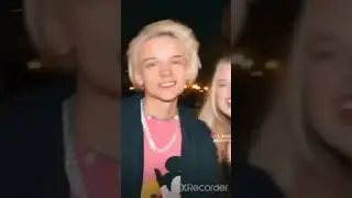 кис кис