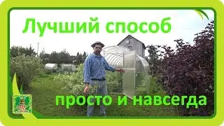 How NOT to tie up cucumbers in a greenhouse. SIMPLE AND PERMANENT.