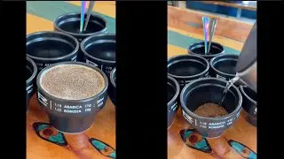 You Might Fall in ❤️ with these Coffee Cupping Bowls ☕️