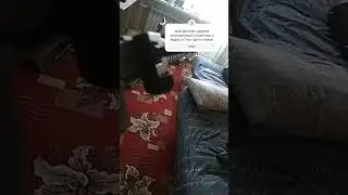 Глока нет