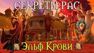 Что скрывает раса Эльфов Крови // 3 гендер? Алкоголизм