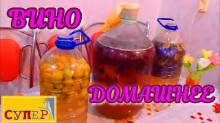 ВИНО домашнее сливовое! Старинный и простой  рецепт!