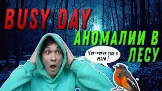 [BUSY DAY] /МОИ СТАРЫЕ ЗАМЕТКИ /АНОМАЛИИ В ЛЕСУ /ГОВОРЮ С ПТИЦАМИ /КАЧАЕМ БАЗУКИ
