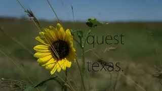 quest texas. S/T EP (2016) (Full)