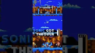 Sonic visits his Family
