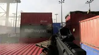 [Call of Duty®: Modern Warfare®] CX-9 20 Round Mags