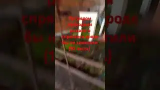 (10 часть) #гномы #тренд #существа #рыцари #тренды