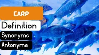 Carp Pronunciation | Carp Definition | Carp Synonyms | Carp Antonyms