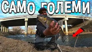 РИБОЛОВ НА ГЛИГАНИ ! САМО ГОЛЕМИ КЕФАЛИ !