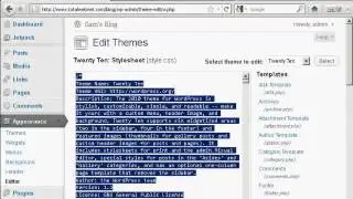 How to Edit WordPress Theme CSS Styles
