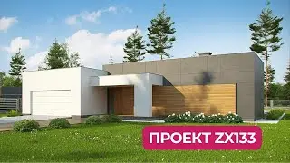 Zx133 Оригинальный дом в современном стиле с плоской кровлей