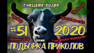 #подборкаприколов #51 #смешноевидео2020 #лучшиеприколы2020  #coub #киноприколы #любительскоевидео