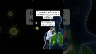 #memes