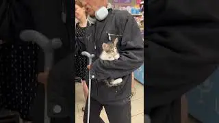 сначала переживала за котёнка, но кажется он выиграл эту жизнь😁 #казань #дербышки #татарстан