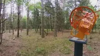 Sculpture Garen - Wild Center