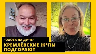 Плешивый влез в семью Шойгу, Кремль пересадят на Жигули, бой Маска и Цукерберга. Михаил Шейтельман