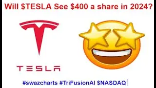 Will #TESLA see $400 a share in 2024?