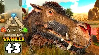 A PROCURA DO DAEODON O JAVALI CURADOR!!!! ARK: SCORCHED EARTH (VANILLA) 43