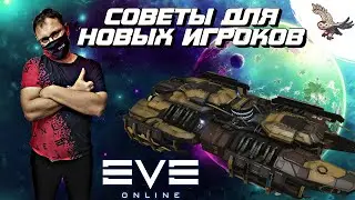 🦉👾Что качать после старта: Делюсь опытом и знаниями с новыми игроками в  eve online / ив онлайн🦉👾