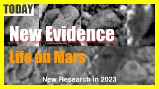 [News] Are We Close to Finding Life on Mars? Exciting Evidence in 2023
