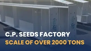 US BUILDINGS COMPLETED C.P. SEEDS FACTORY PROJECT