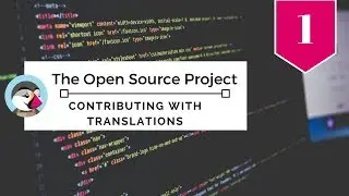 The Open Source Project: Contributing with translations