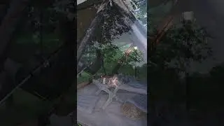 Our Mouflon Tent in short - part 2