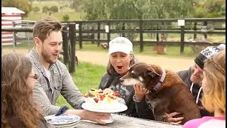 Vegan Pavlova