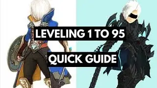 🎮Leveling 1 to 95 Quick Guide || Dragon Nest